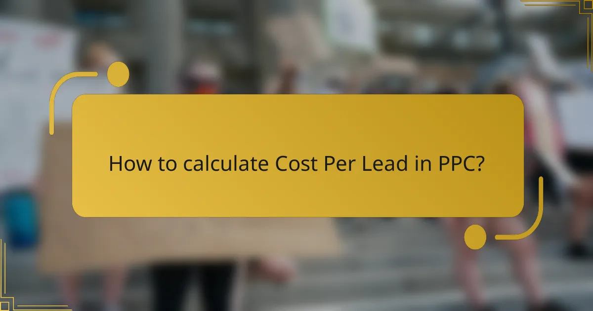 How to calculate Cost Per Lead in PPC?