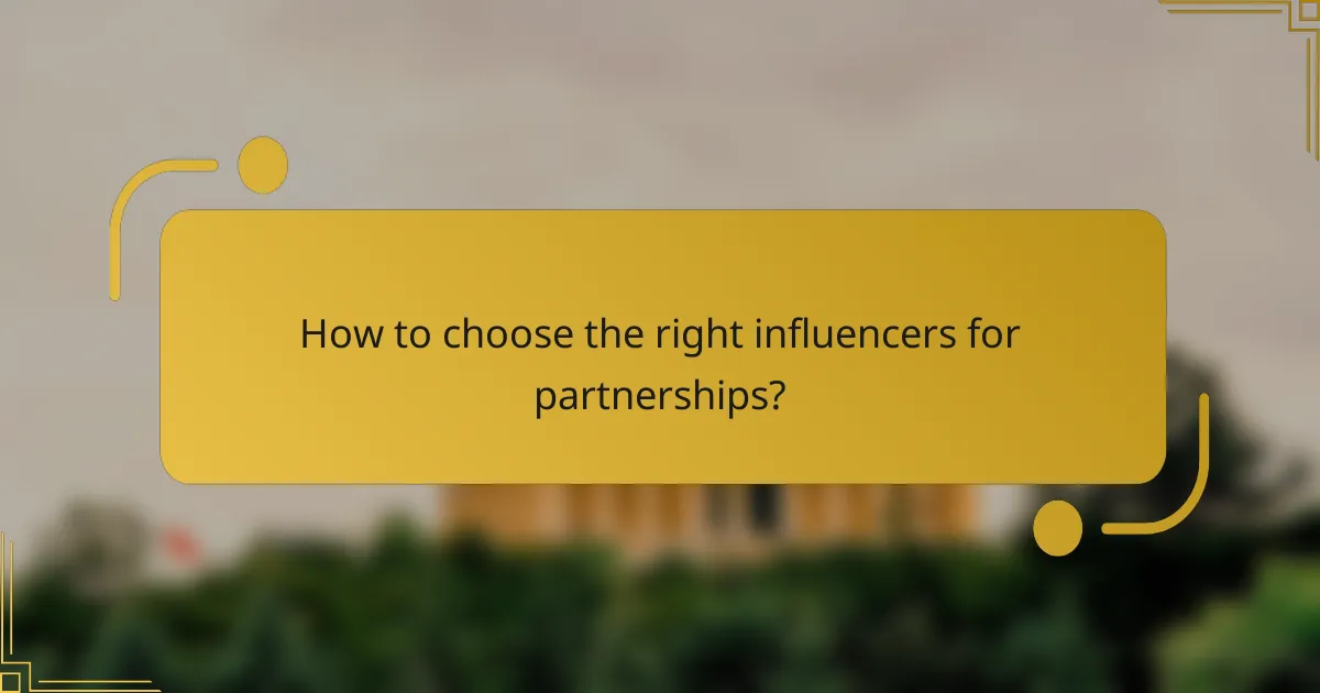 How to choose the right influencers for partnerships?
